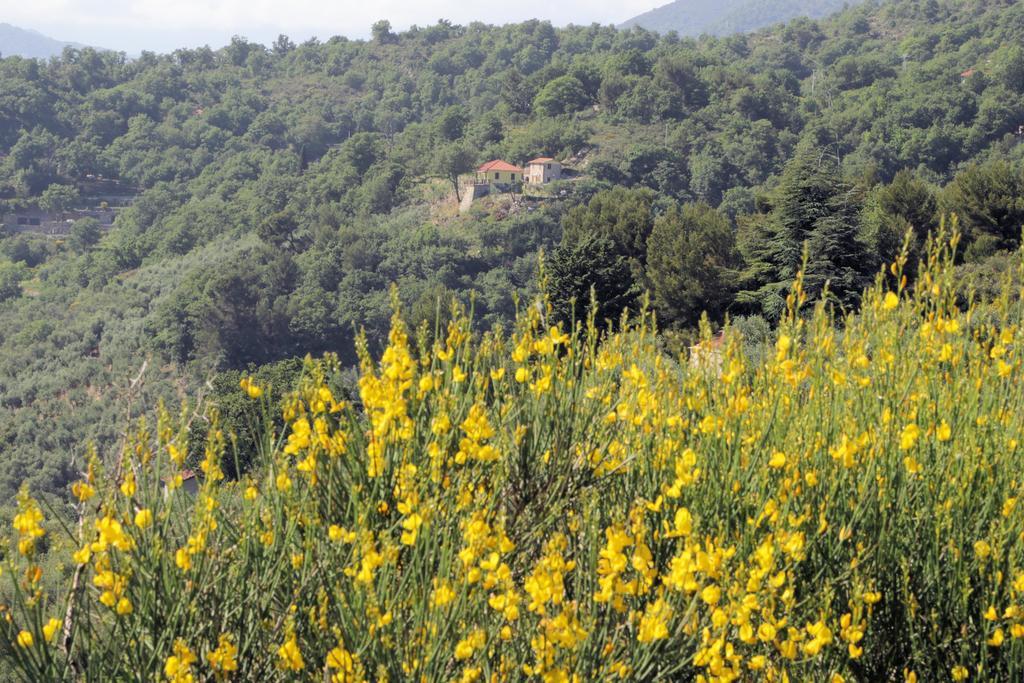 Case Natura Pontedassio Экстерьер фото